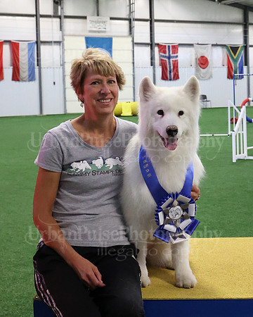 2021 SCA AGILITY RUN FOR GLORY-0923
