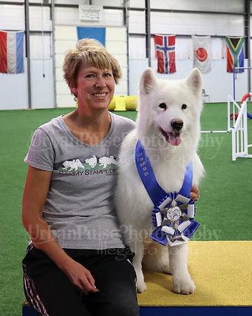 2021 SCA AGILITY RUN FOR GLORY-0924