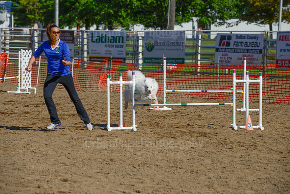 AGILITY-2144