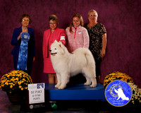 SCA2023_B_AWARD_6145_30