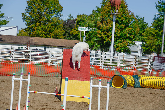 AGILITY-2411