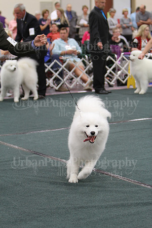 D BOB GR4-4073 2014 SCA National