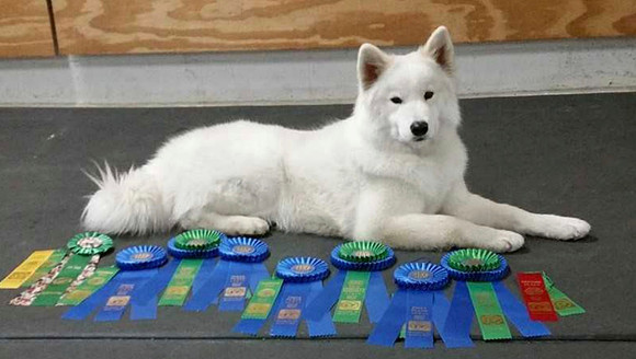 Hex with Ribbons