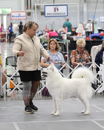 2021 SCA WK SWPS NOVICE B-2840