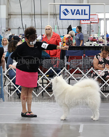 2021 SCA WK SWPS NOVICE B-2841