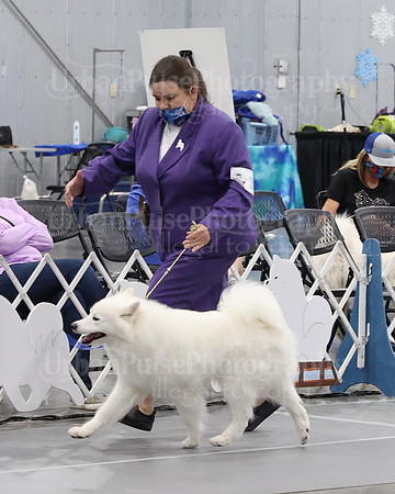 2021 SCA WK SWPS NOVICE B-2874