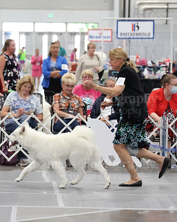 2021 SCA WK SWPS NOVICE B-2886