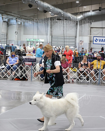 2021 SCA WK SWPS NOVICE B-2883