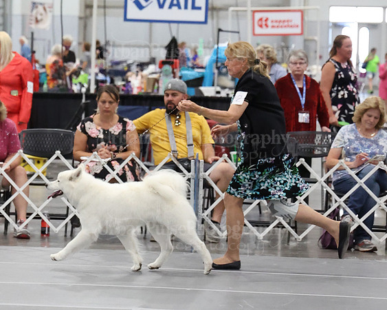 2021 SCA WK SWPS NOVICE B-2888