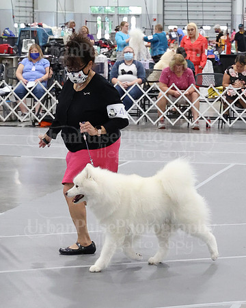 2021 SCA WK SWPS NOVICE B-2906