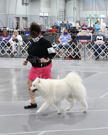 2021 SCA WK SWPS NOVICE B-2907