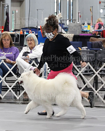 2021 SCA WK SWPS NOVICE B-2913