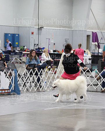 2021 SCA WK SWPS NOVICE B-2915