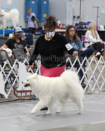 2021 SCA WK SWPS NOVICE B-2916