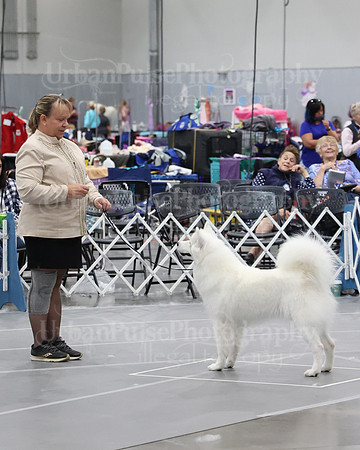 2021 SCA WK SWPS NOVICE B-2919