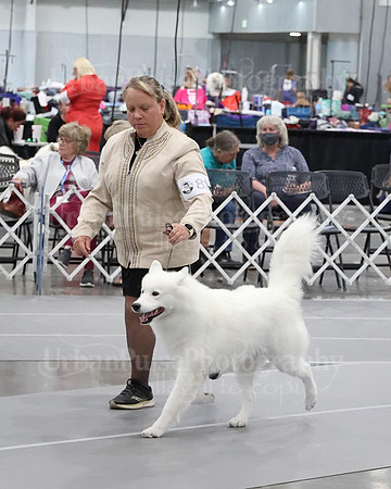 2021 SCA WK SWPS NOVICE B-2920