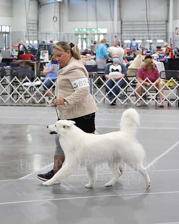 2021 SCA WK SWPS NOVICE B-2923