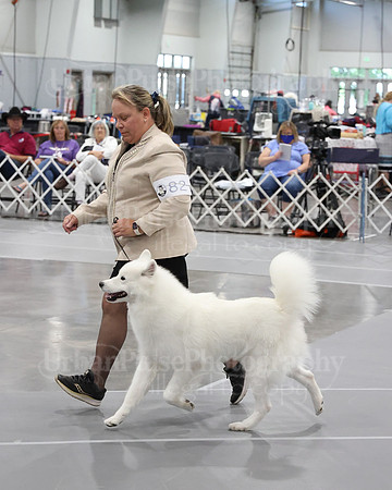 2021 SCA WK SWPS NOVICE B-2924