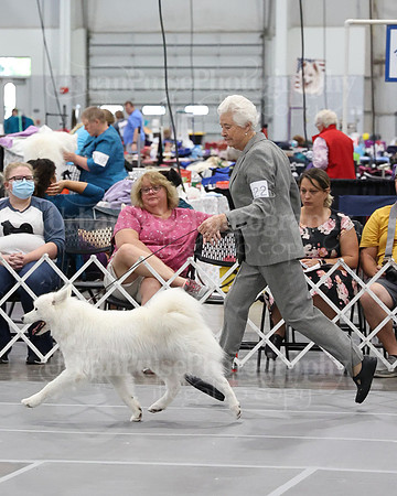 2021 SCA WK SWPS NOVICE B-2947