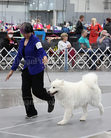 2021 SCA WK SWPS NOVICE B-2955