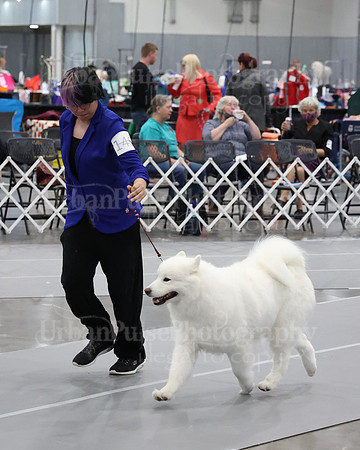 2021 SCA WK SWPS NOVICE B-2954