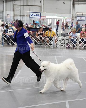 2021 SCA WK SWPS NOVICE B-2958