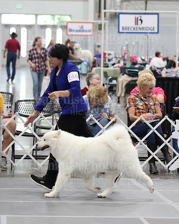 2021 SCA WK SWPS NOVICE B-2962