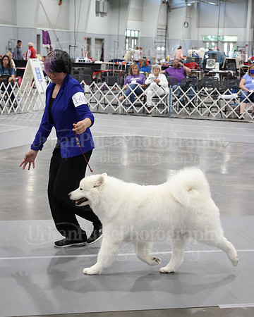 2021 SCA WK SWPS NOVICE B-2961