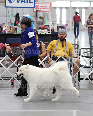 2021 SCA WK SWPS NOVICE B-2963