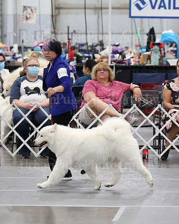 2021 SCA WK SWPS NOVICE B-2964