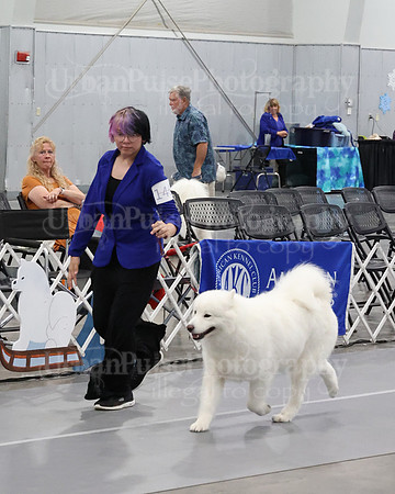 2021 SCA WK SWPS NOVICE B-2971