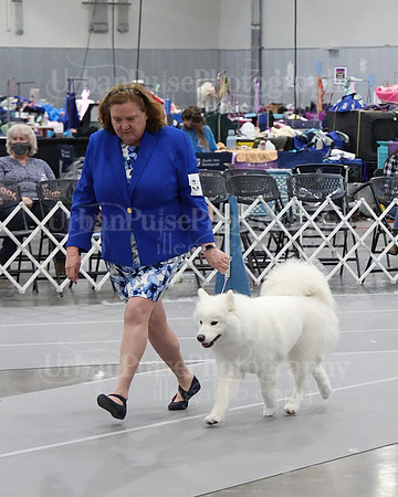 2021 SCA WK SWPS NOVICE B-2975