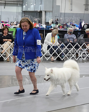 2021 SCA WK SWPS NOVICE B-2978