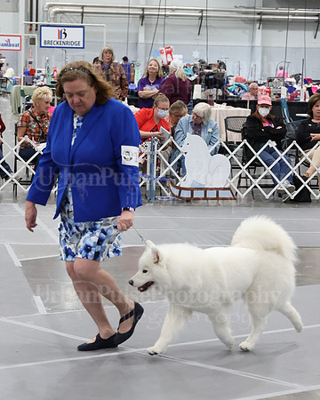 2021 SCA WK SWPS NOVICE B-2981