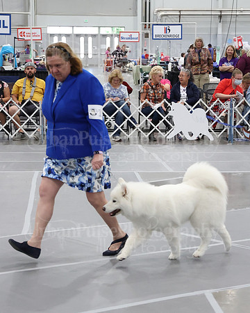 2021 SCA WK SWPS NOVICE B-2982