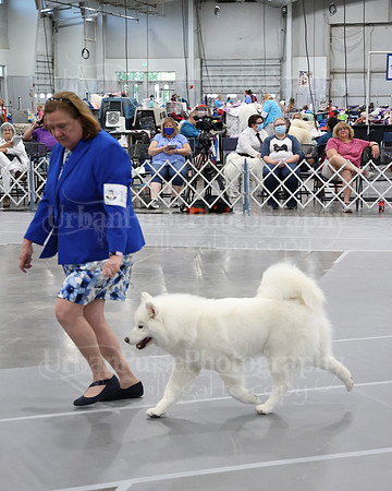 2021 SCA WK SWPS NOVICE B-2985