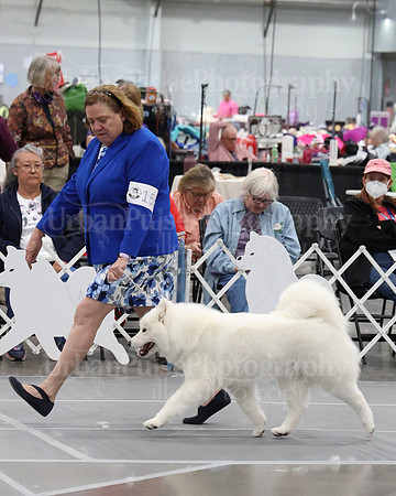 2021 SCA WK SWPS NOVICE B-2990