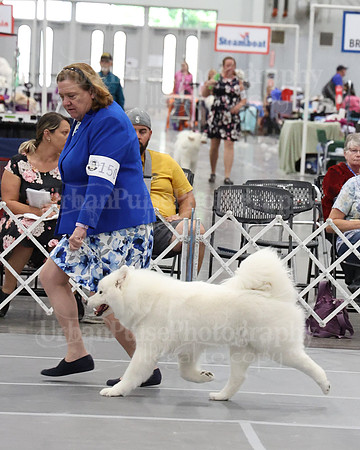 2021 SCA WK SWPS NOVICE B-2992