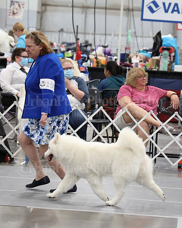 2021 SCA WK SWPS NOVICE B-2994