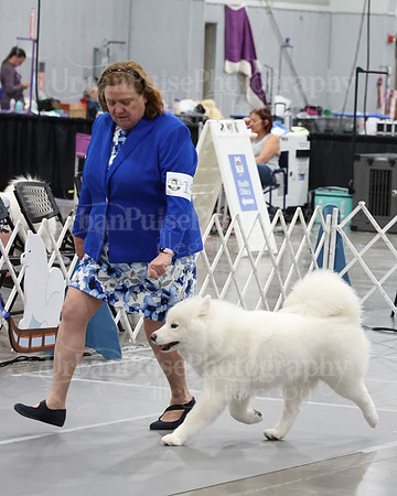 2021 SCA WK SWPS NOVICE B-2999