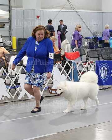 2021 SCA WK SWPS NOVICE B-3001