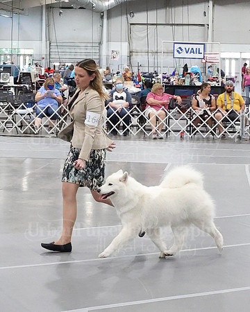 2021 SCA WK SWPS NOVICE B-3005