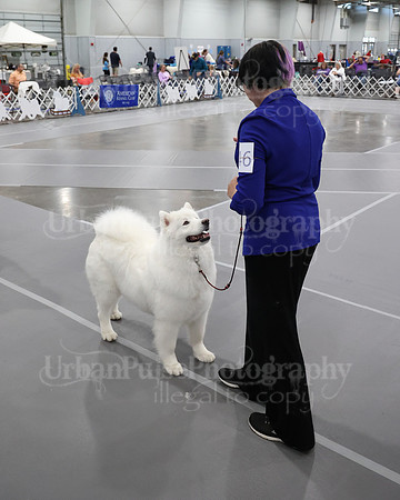 2021 SCA WK SWPS NOVICE B-3004