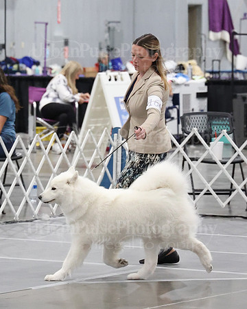2021 SCA WK SWPS NOVICE B-3012