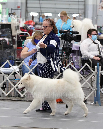 2021 SCA WK SWPS NOVICE B-3025