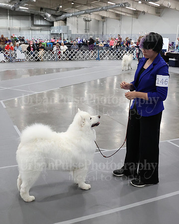 2021 SCA WK SWPS NOVICE B-3021