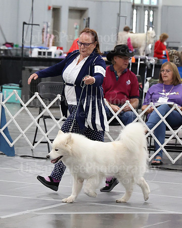 2021 SCA WK SWPS NOVICE B-3028