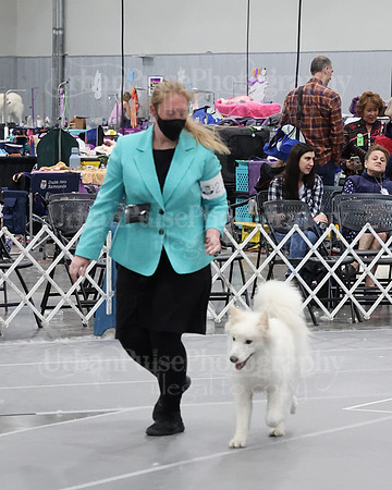 2021 SCA WK SWPS NOVICE B-3036