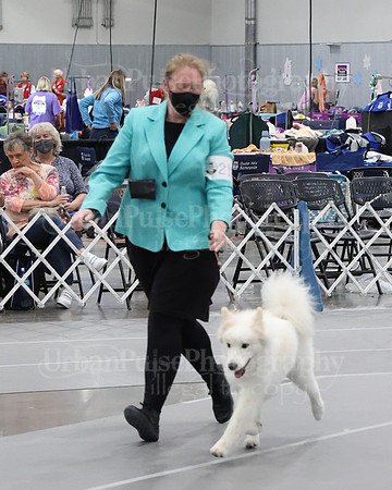 2021 SCA WK SWPS NOVICE B-3038