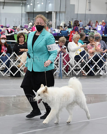 2021 SCA WK SWPS NOVICE B-3040